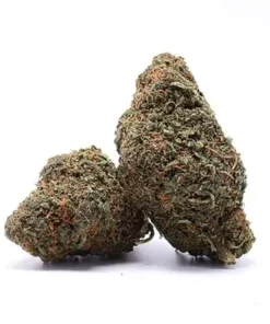 Girl Scout Cookies HHC