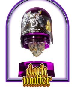 Wizard Trees Dark Matter kaufen